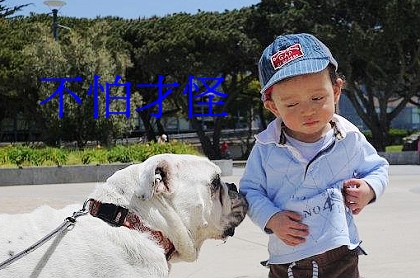 下一張(熱鍵:c)