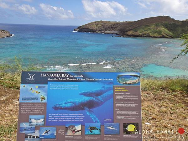 Hanauma Bay Snorkeling, HAWAII