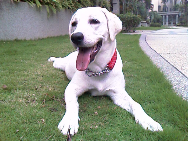 IMAG0125.jpg IMAG0125.jpg