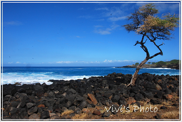 Big Island-1.jpg