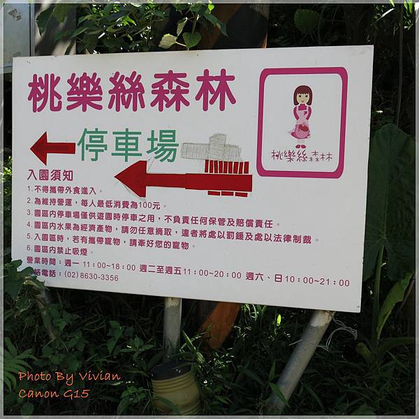 0608 桃樂絲森林 0608 桃樂絲森林