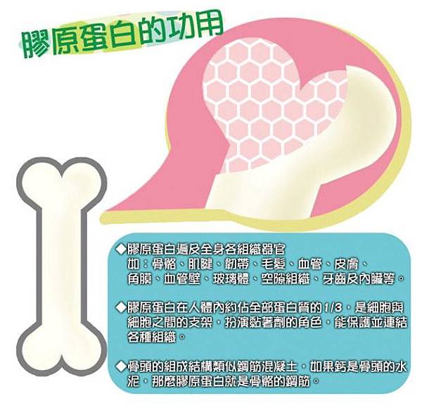 膠原蛋白.jpg 試用