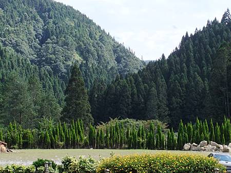 100.11.05 杉林溪 008.jpg