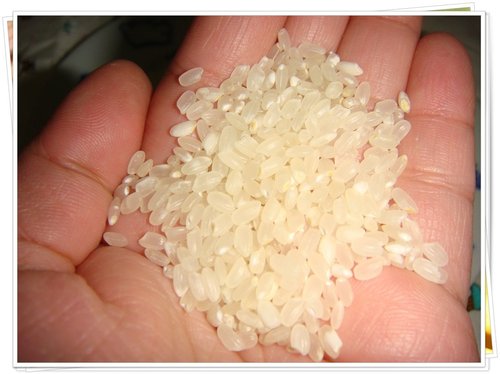 ap_F23_20110221071108595.jpg ap_F23_20110221071108595.jpg