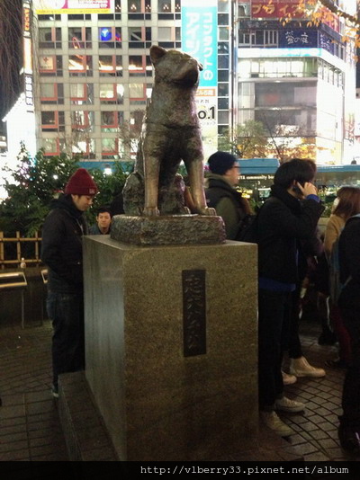 2013-12-17 18.45.04忠犬小八.jpg