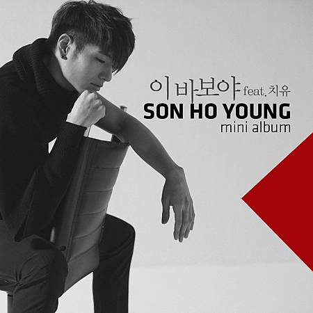 손호영 - 이 바보야 ( ft. 치유 ).jpg