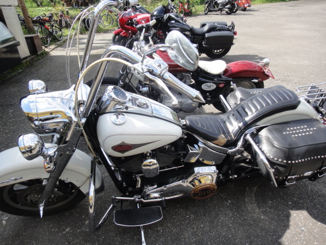 DSC06501.JPG DSC06501.JPG