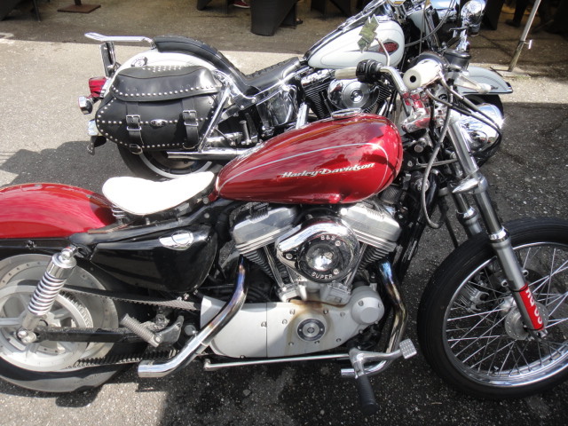 DSC06503.JPG DSC06503.JPG