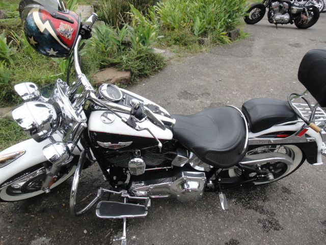 DSC06515.JPG DSC06515.JPG