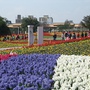 花博圓山花海-08.JPG