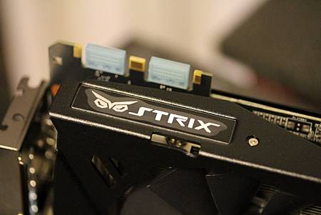 IMG_0006.JPG IMG_0006.JPG