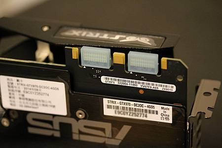 IMG_0008.JPG IMG_0008.JPG