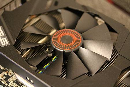 IMG_0010.JPG IMG_0010.JPG