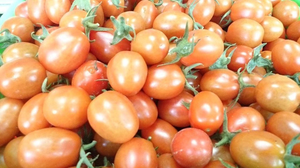 1956684_594797837260975_1964224476_o