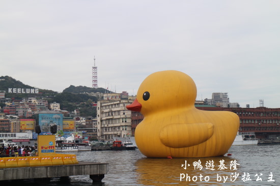 IMG_5579.jpg IMG_5579.jpg