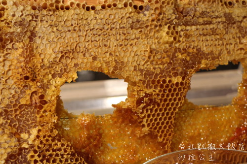 IMG_1264.jpg IMG_1264.jpg