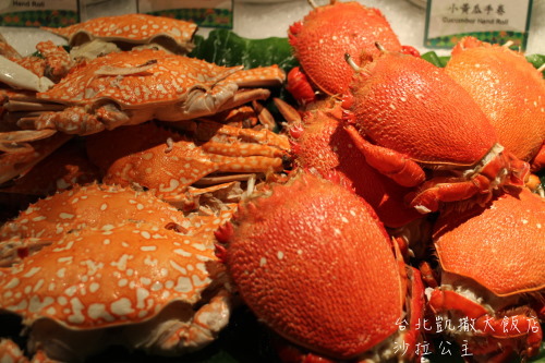 IMG_1272.jpg IMG_1272.jpg