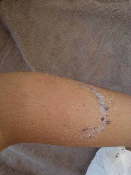 IMG_20150217_130559 試用