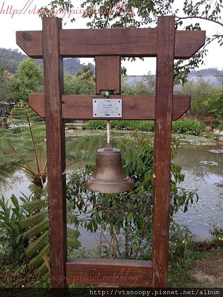 Photo 13-3-16 17 24 02 Photo 13-3-16 17 24 02