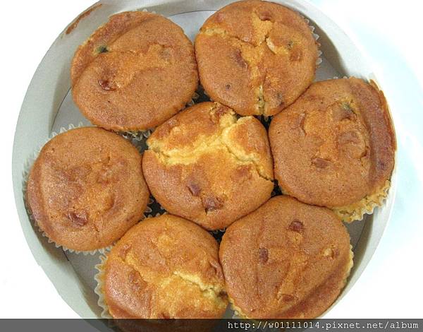 IMG_8294.JPG IMG_8294.JPG