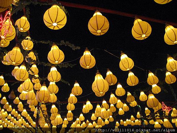 IMG_0207.JPG IMG_0207.JPG