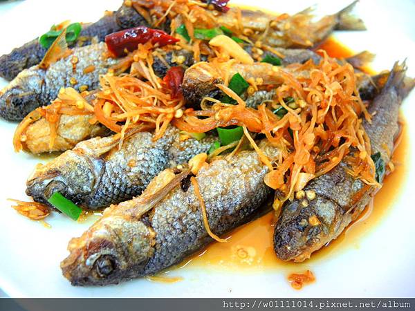 DSCN0400.JPG DSCN0400.JPG