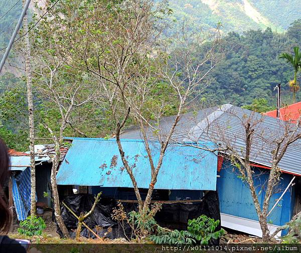 DSCN0470.JPG DSCN0470.JPG