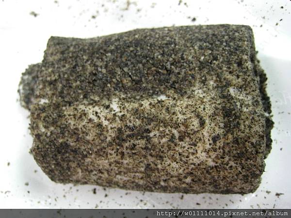 IMG_2224.JPG IMG_2224.JPG