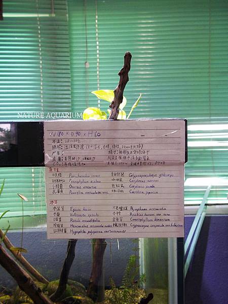 106_4620.JPG 106_4620.JPG