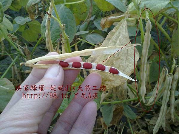 PWBOO52eE_FAjMTT59zvtA