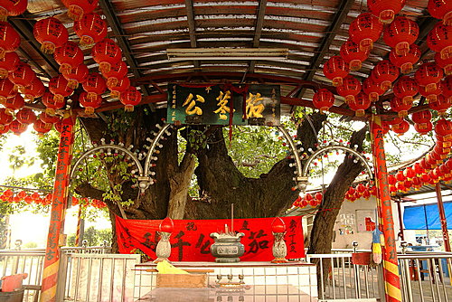 bZDcF1nhiuODWT3HEAgNwg