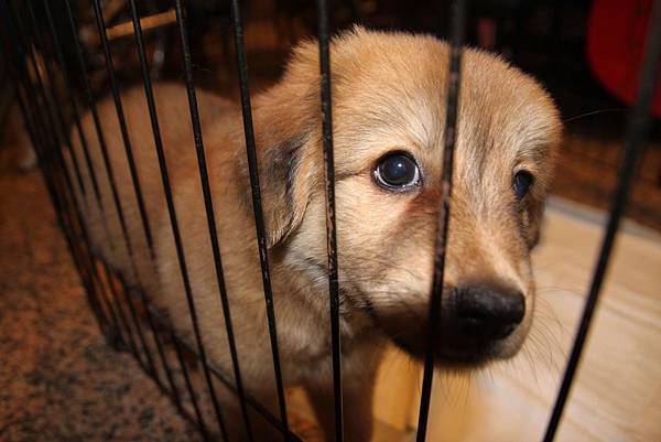 IMG_3573.jpg IMG_3573.jpg