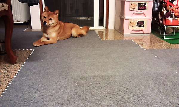 IMAG0304.jpg IMAG0304.jpg