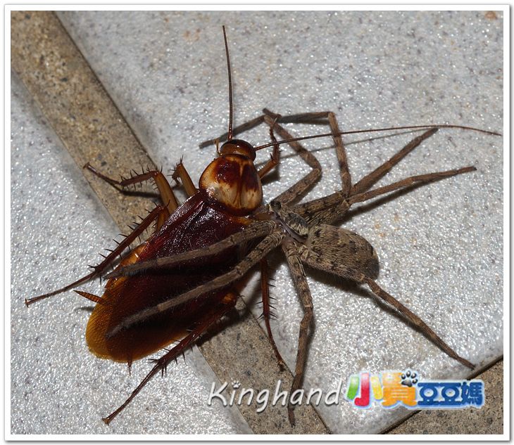 48f2042dd8110 48f2042dd8110