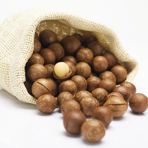 19_P_1353816377312 (1)