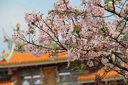 IMG_0001 (複製).JPG