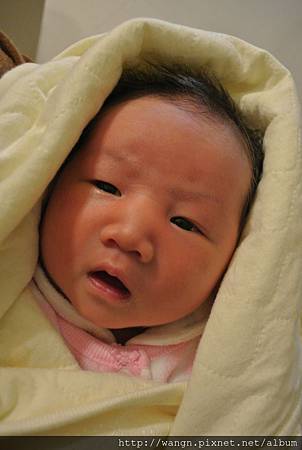 DSC_4067.jpg DSC_4067.jpg