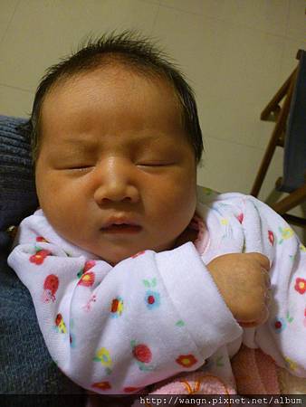 DSC_4948.jpg DSC_4948.jpg