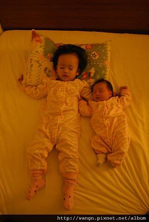 DSC_4355.jpg DSC_4355.jpg