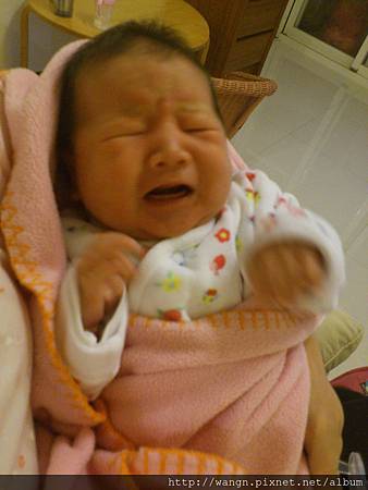 DSC_5045.jpg DSC_5045.jpg