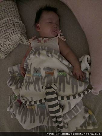 IMAG2209.jpg IMAG2209.jpg