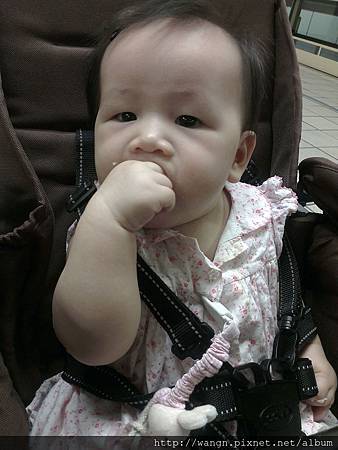 IMAG1975.jpg IMAG1975.jpg