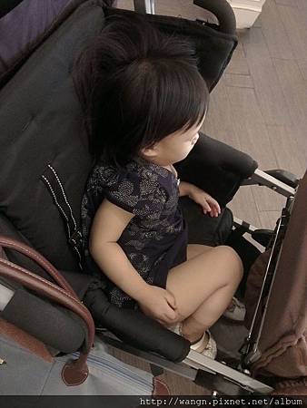 IMAG1996.jpg IMAG1996.jpg