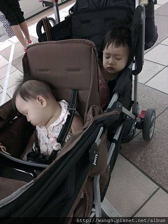 IMAG2003.jpg IMAG2003.jpg