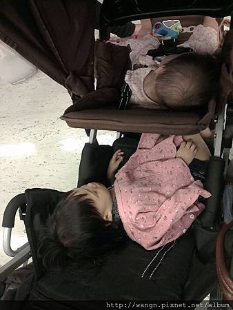 IMAG2004.jpg IMAG2004.jpg