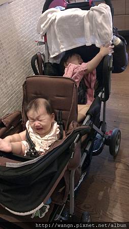 IMAG2018.jpg IMAG2018.jpg