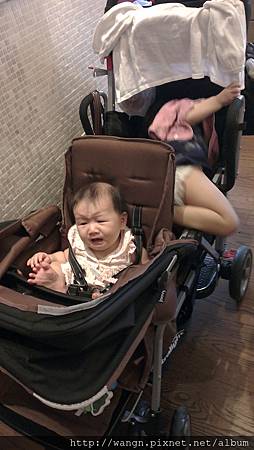 IMAG2019.jpg IMAG2019.jpg