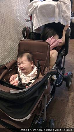 IMAG2020.jpg IMAG2020.jpg