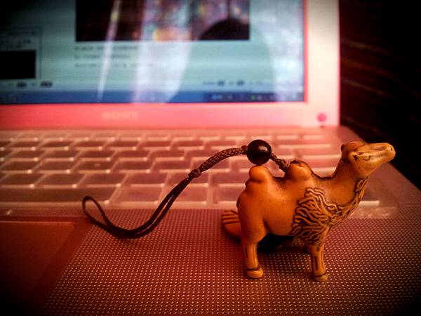 20121025_181934_Vignette