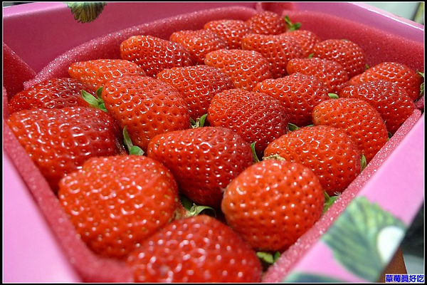 草莓季節來囉.jpg 草莓季節來囉.jpg